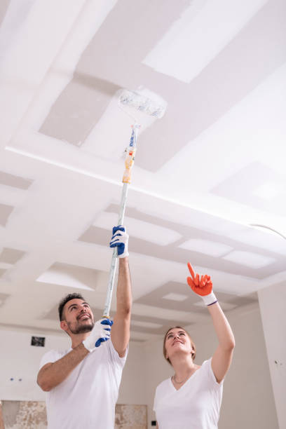 Best Dehumidification Services  in Frisco, TX