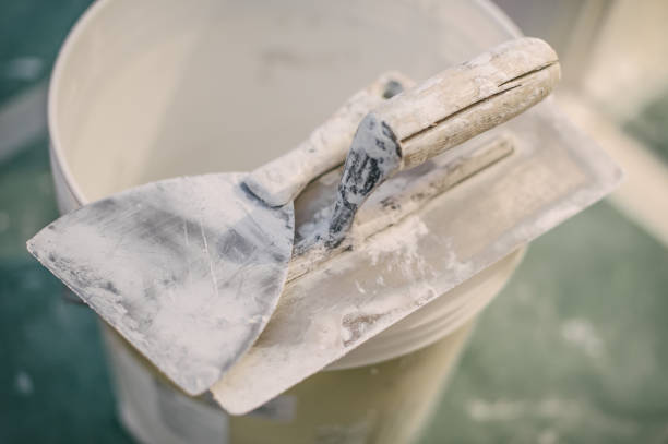 Best Black Mold Removal  in Frisco, TX